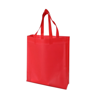 Made in China Customized Shopping PP Non Woven Bag