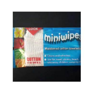 Promotion Mini Packaging Sports Portable Cleaning Wipes